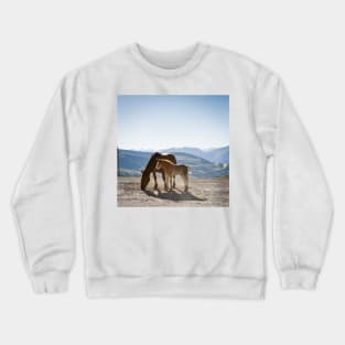 Foal and Mare Crewneck Sweatshirt